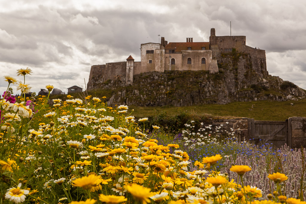 Spaziergang zum Lindisfarne Castle
