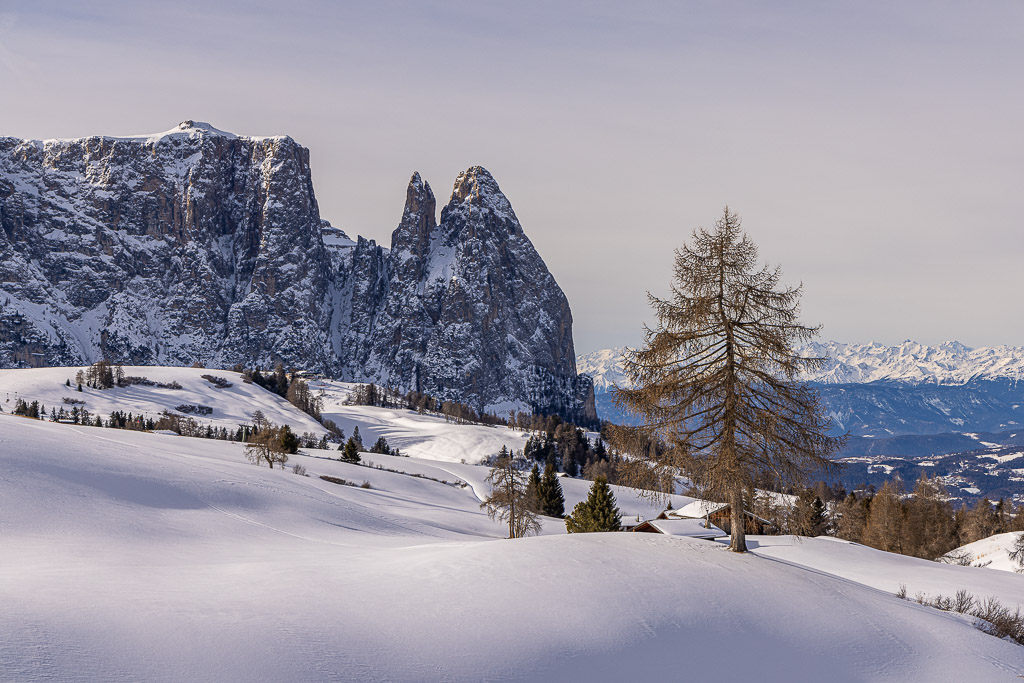 Wanderung auf der Seiser Alm