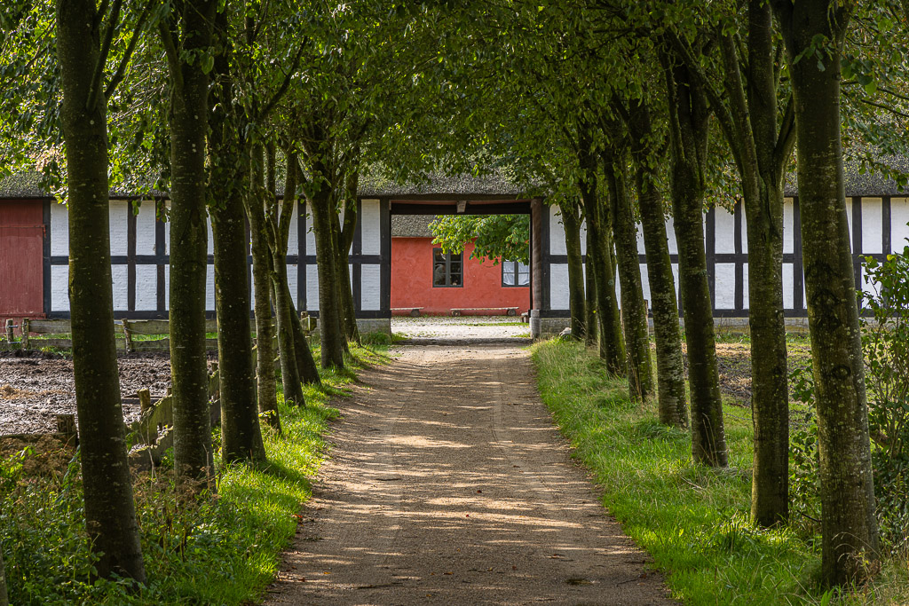 Rundgang durch Hjerl Hede