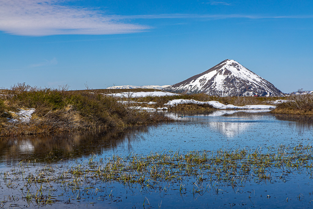 Myvatn Gebiet