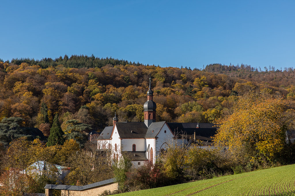 Herbst am Kloster Eberbach
