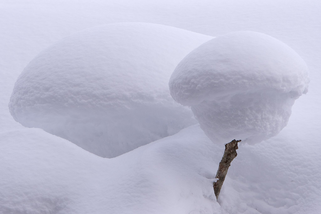 During the hard and long winter of 05/06 in Europe the snow formations in these abundand masses of cold white were creating lots of interesting subjects to photograph.