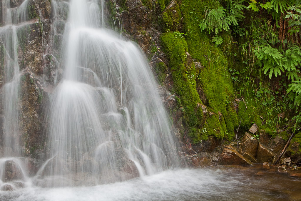 Bemooster Wasserfall im Wald
