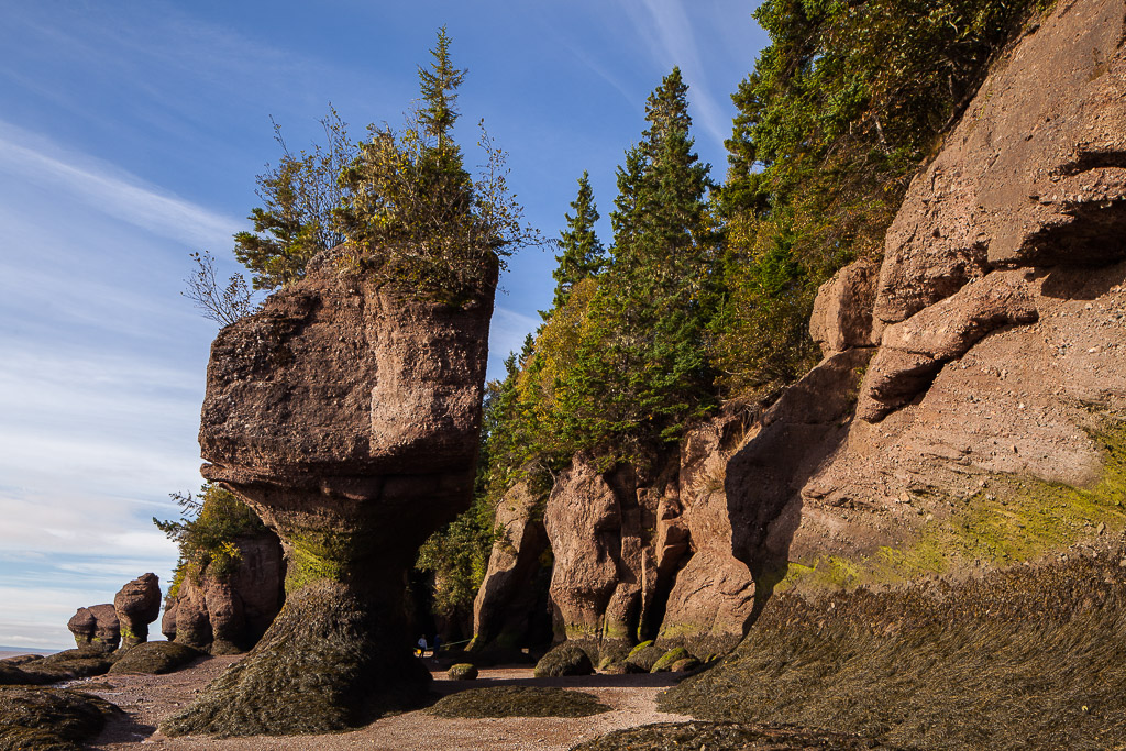 Erosionsfelsen am Strand der Hopewell Rocks, Bay of Fundy